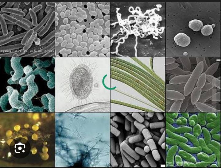 LAVADO DE DINERO MAS LAVADO